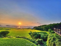 이토록 친밀한 고흥여행...바다·숲·노을·유자향에 취해 힐링!