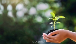 제주의 초록 숲 속 힐링 오롯이 즐기고 싶다면... 