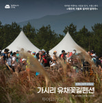 제주의 아름다운 가을 길, 걷기 좋은 마을 5