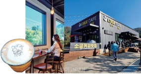 횡성여행 어디까지 해봤니! 당일치기로 즐기는 횡성 만추여행