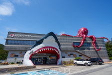 12월엔 우리 땅끝 해남으로 오감 만족 여행!