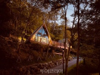 산림휴양도시 대전 숲에서 겨울을 느껴보세요