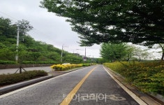 대전 대청호수로, 문체부 자전거 자유여행코스 60선에 선정