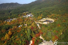 경주 일출 명소, 2025년 새해 가볼만한 숨겨진 장소 BEST 3