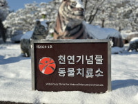 광주 우치동물원 동물병원, 천연기념물 동물치료소 지정