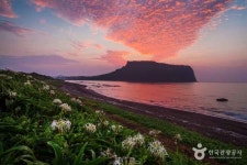 제주도, 성산일출봉부터 한라산까지 놓칠 수 없는 여행지