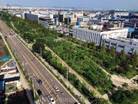 산림청,  도시숲 올해 전국에 197곳 조성, 미세먼지 잡는다! 