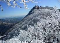 계룡산, 겨울 설경과 온천 힐링까지 가능한 명소?