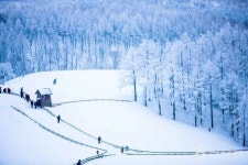 스키부터 양떼목장까지! 대관령에서 꼭 즐겨야 할 겨울 명소는?