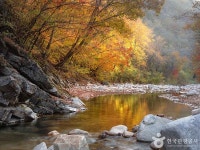 필례온천, 자연 속 힐링을 만끽할 수 있을까?
