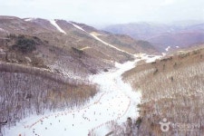 하이원리조트 스키장부터 워터월드까지! 가족 여행 추천 명소