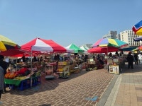 모란시장 5일장, 수도권 최대 전통시장에서 만나는 정겨운 풍경