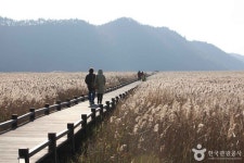 순천 여행, 꼭 가봐야 할 명소는 어디?