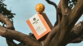 오설록 티뮤지엄 메뉴, 제주 여행 중 꼭 맛봐야 할 디저트는?