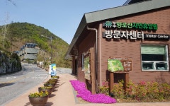 무주 향로산 자연휴양림, 자연 속 힐링의 명소