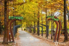 인천문학경기장 인근, 꼭 방문해야 할 장소는?