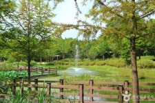 의왕 가볼 만한 곳,왕송호수 산책하고 모락산 트레킹 즐겨요!