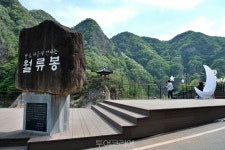 영동군, 관광객 100만명 돌파 눈앞