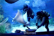 한화리조트 해운대 근처 여행지 추천! 해운대 필수 코스는?
