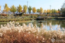 대전 가볼만한곳…아이들과 함께하는 자연·과학 체험 명소는?