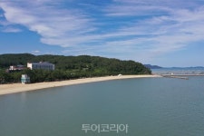 꽃∙바다와 함께하는 특별한 여행지 전남 보성으로 낭만 여행