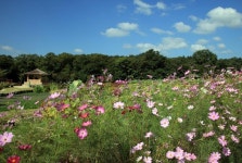 지리산 따라 향토체험, 인월 5일장에서 만나는 로컬의 맛