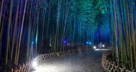 태화강 국가정원 방문객 만족도 높인다