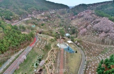 고령의 봄으로의 초대 고령대가야축제와 함께하는 최고의 봄 여행 코스