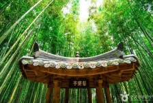 담양 여행, 자연 속 힐링 제대로 즐기려면 이곳