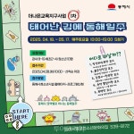 동해시, 태어난 김에 동해일주 운영
