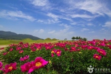 의성 이번 주 날씨 총정리, 비 피해 떠나는 힐링 여행지