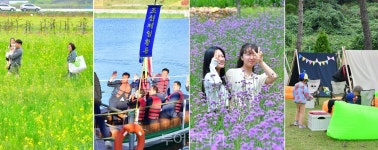 반값 관광택시 타고 축제에 이벤트 재미까지 장성의 봄이 재밌다!