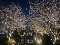 운정호수공원 봄맞이 새단장에 도심속 산책길 명소로 부상