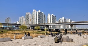 봄바람 가르며 봄꽃 향기 따라 두바퀴로 달려요! 서울의 봄 라이딩 명소는 여기