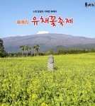 제주 서귀포 휴애리, 유채꽃과 동백으로 봄 정원 완성