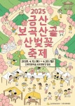 충남 금산 산벚꽃 축제, 보곡산골마을의 국내 최대 절경