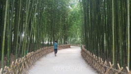 울산 여행 핵심코스, 태화강과 울산대공원