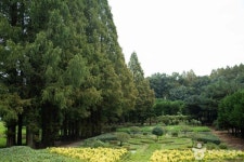 아가페정원 산책 후 들르기 좋은 익산 로컬 맛집