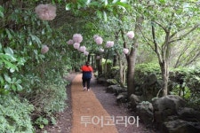 서귀포 자연 명소 모음, 힐링 산책 코스로 제격