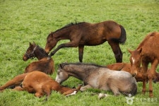 제주 가볼 만한 목장 체험 여행지