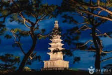 충주 역사 명소 탐방, 관아공원·중앙탑·탄금대