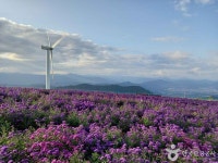 산과 함께 떠나는 자연여행, 거창 가볼 만한 곳
