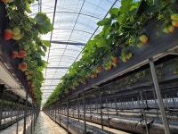 대구 근교 가볼 만한곳 군위 체험농장과 전통문화 탐방