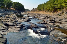 떠나요~ 제주도 푸른 바다 낭만에 풍덩 빠지러!