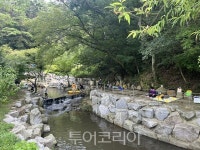 영광군, 유일 계곡 대마 안골 19일 본격 개장