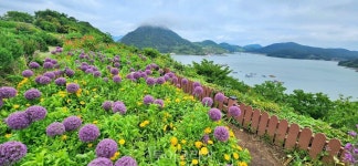 마음이 닿은 그곳 고흥