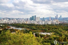 마포구 가볼 만한 곳, 홍대 거리의 젊음과 한강의 낭만