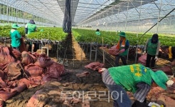 하동군, 집중호우 피해 옥종면 인력 총동원 복구 총력