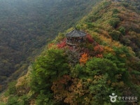 정읍 가볼만한곳, 내장산의 비경과 구절초 정원의 낭만