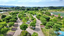 8월 광주 도심은 꿀잼 피서지!..책·캠핑·문화축제 도심 곳곳서 펼쳐져